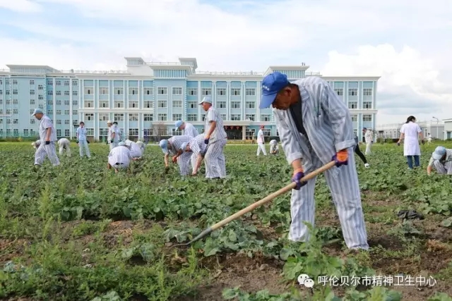 我院志愿者陪同患者康復訓練 幫助其恢復社交能力5.webp.jpg