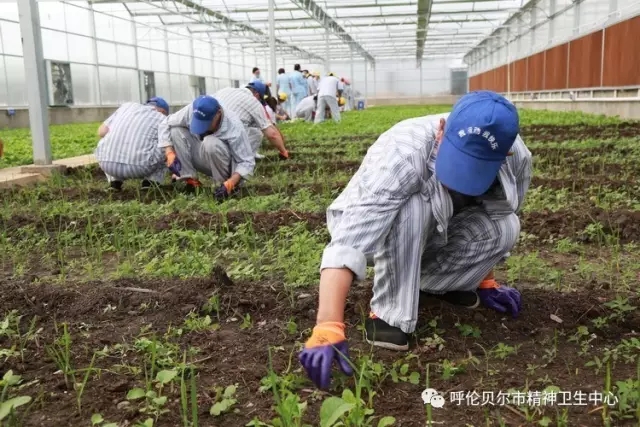 我院志愿者陪同患者康復訓練 幫助其恢復社交能力2.webp.jpg