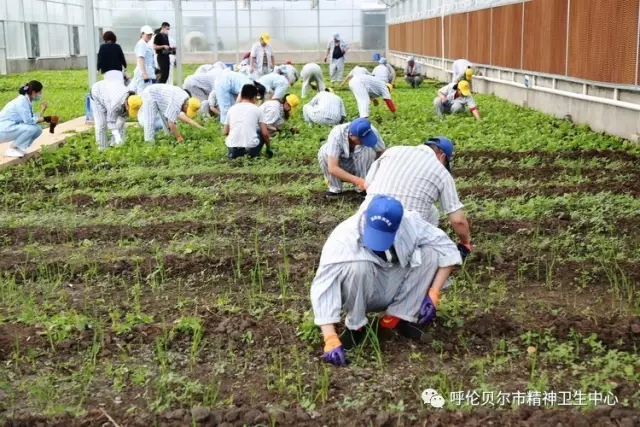 我院志愿者陪同患者康復訓練 幫助其恢復社交能力3.webp.jpg