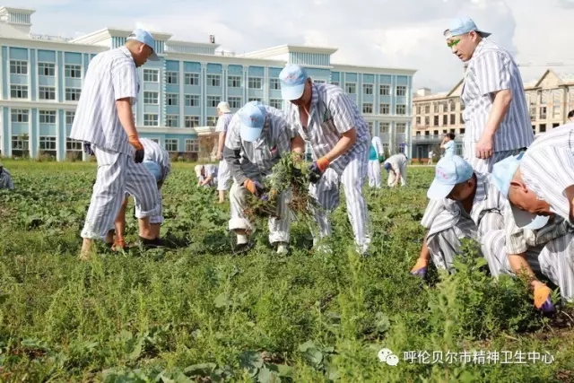 我院志愿者陪同患者康復訓練 幫助其恢復社交能力4.webp.jpg